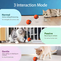 FurBuddy – Interactive Smart Cat Toy