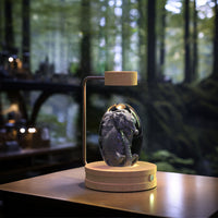 Magical Dino Orb Night Light – Cozy Bedside Glow