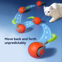 FurBuddy – Interactive Smart Cat Toy